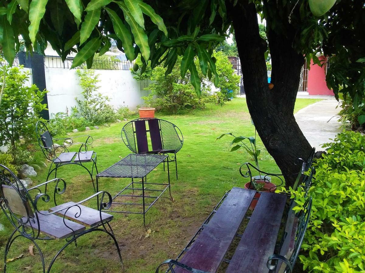 Yard Style Otel Kingston Dış mekan fotoğraf